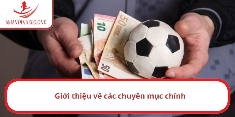 Những nội dung mà website cập nhật