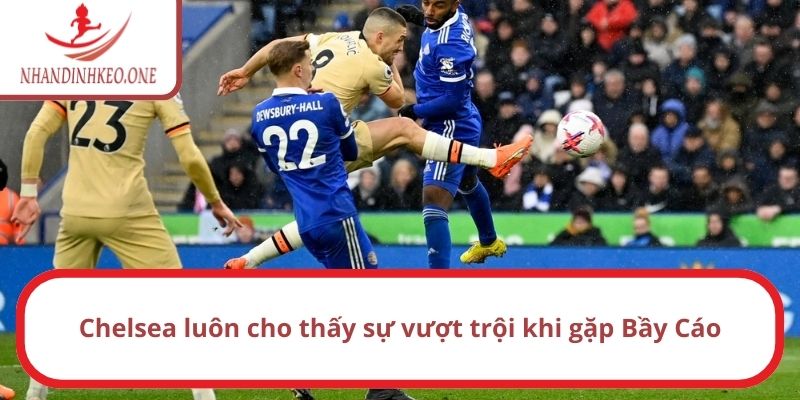 Chelsea luôn cho thấy sự vượt trội khi gặp Bầy Cáo