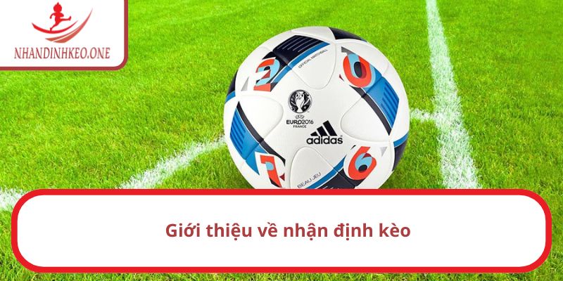 Vài điều cơ bản về nhận định kèo