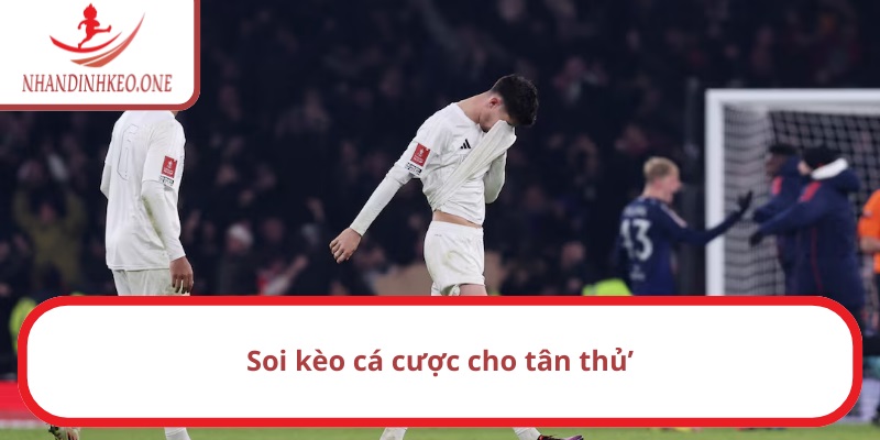 Nhận định MU vs Arsenal 23h30 ngày 09/03/2025 Ngoại hạng Anh 3 Nhận định MU vs Arsenal 23h30 ngày 09/03/2025