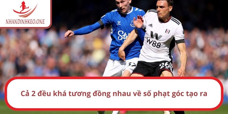 Soi kèo góc Brighton vs Fulham lúc 22h ngày 08/03/2025 2 Cả 2 đều khá tương đồng nhau về số phạt góc tạo ra