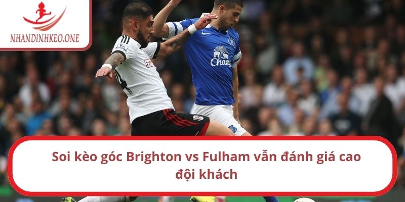 Soi kèo góc Brighton vs Fulham lúc 22h ngày 08/03/2025 3 Soi kèo góc Brighton vs Fulham vẫn đánh giá cao đội khách